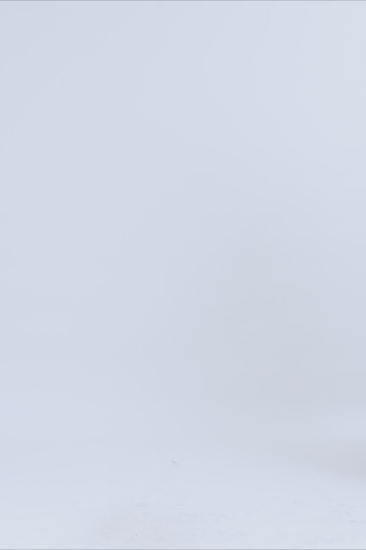 Lollys Laundry AskarLL Blouse 3/4 Blouse 02 Creme