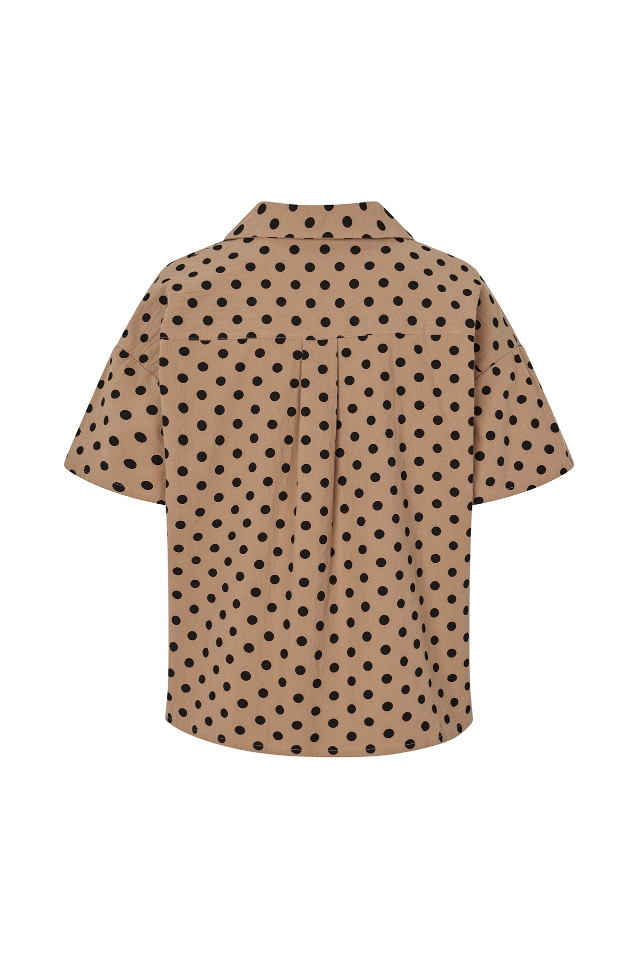 KatherineLL Bluse - Punkte muster