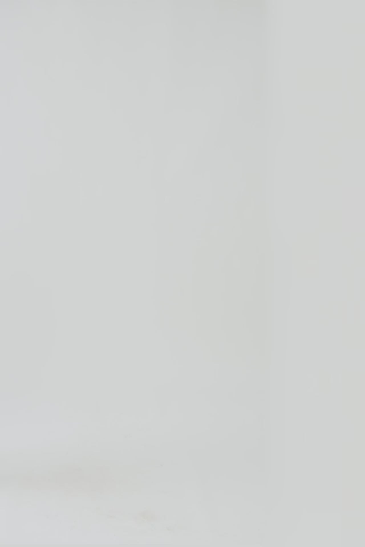 Lollys Laundry FaithLL Blouse LS Shirt 01 White